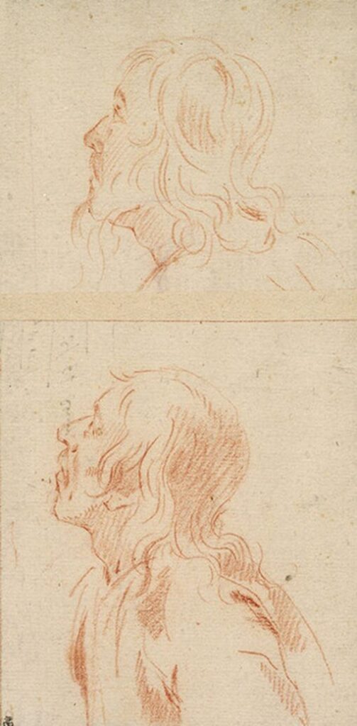 daret-étude-homme-musée-grand-siecle