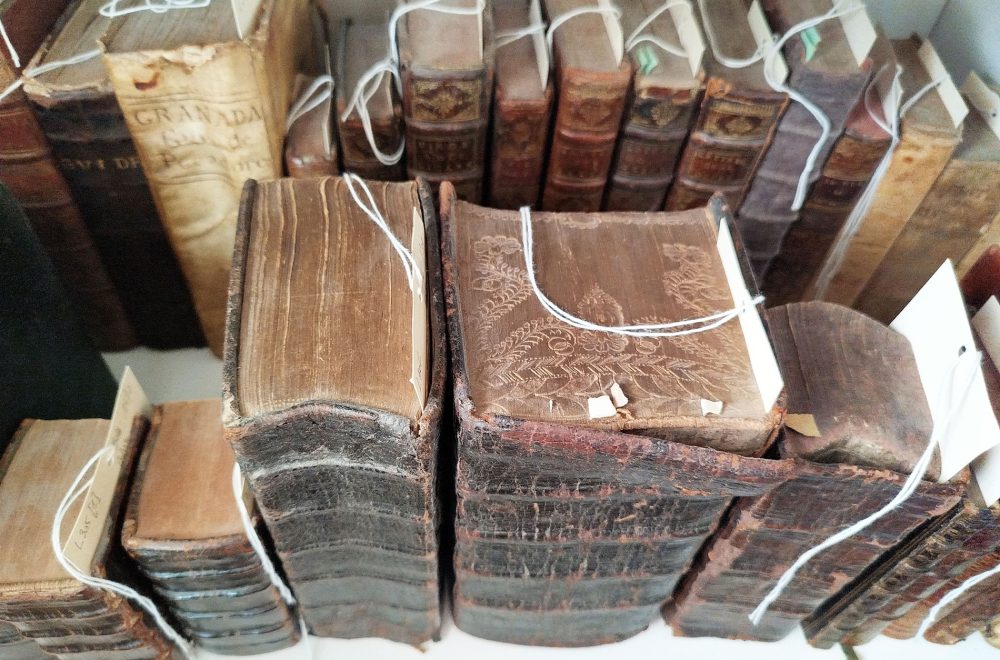 Rayons de livres anciens du XVIIe siècle, aperçu de la donation de Catherine et Gérard Monthel