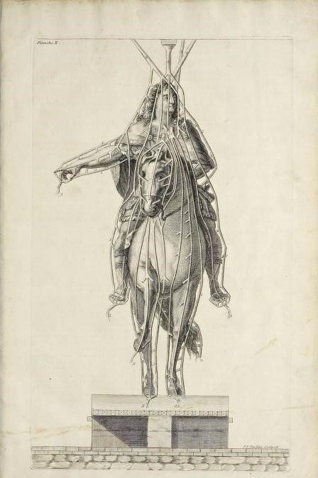 Gravure du roi Louis XIV à cheval, vu de face