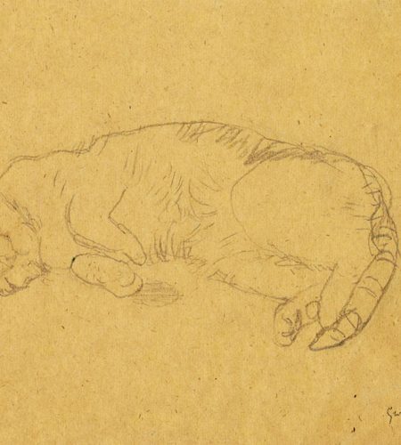 Chat dormant, crayon sur papier beige