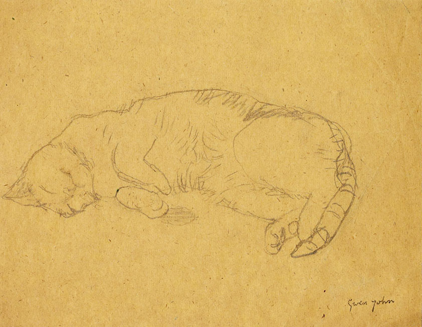 Chat dormant, crayon sur papier beige